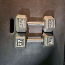 Dumbbell 25lbs
