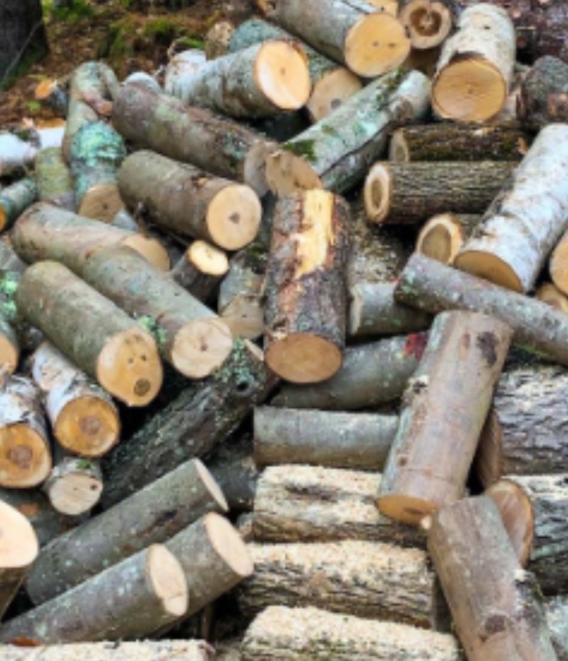 Firewood