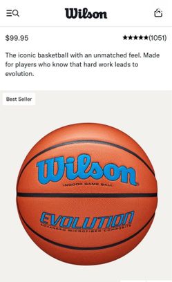 Wilson Evolution Baketball