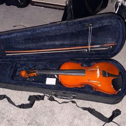 Violin