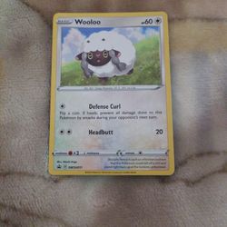 Pokemon Wooloo Promo Card