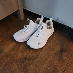 Pumas