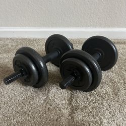 CAP 40 LB Adjustable Cast Dumbbell Set