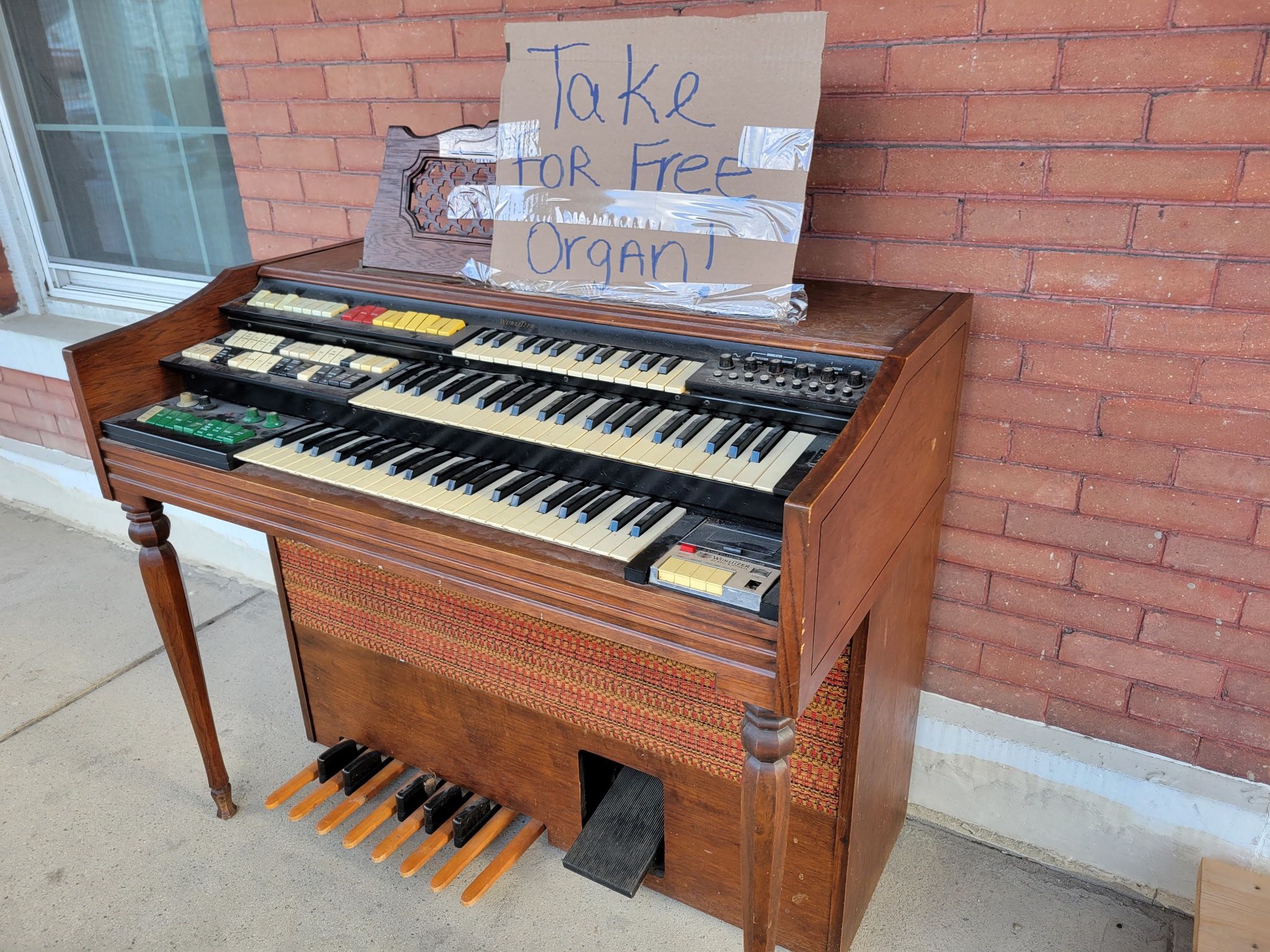 Organ