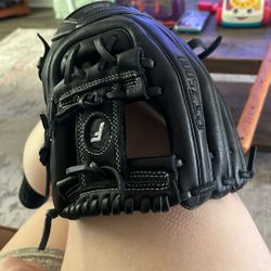 11.5 Franklin CTZ500 