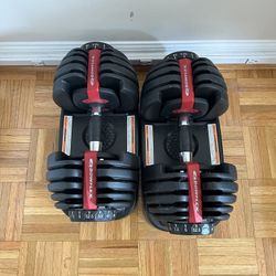 Bow flex Weights (must go ASAP)