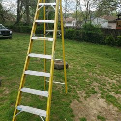 A ladder measuring 8 feet