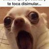 Cheo