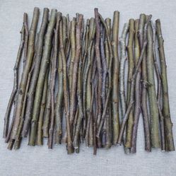 Pear Chew Sticks 10 In Long 40 Pc