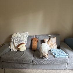 Free Couch Self Pickup 