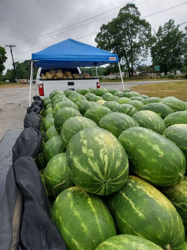 Watermelons for Sale in Greenville, SC OfferUp