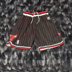 Bulls Adidas Shorts 