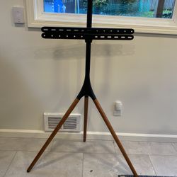 Easel TV Stand