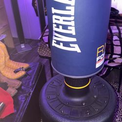 Everlast rm foam ground bag