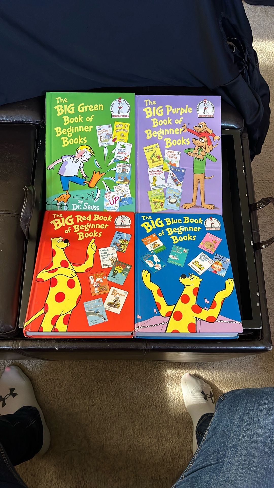 The Big Book Series By Dr. Seuss