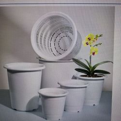 White Plants Pot