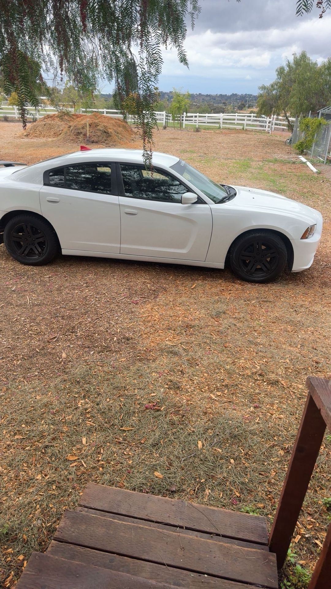 2013 Dodge Charger