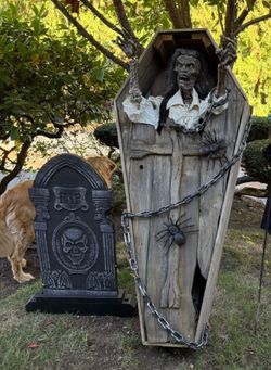 Halloween life size cedar coffin
