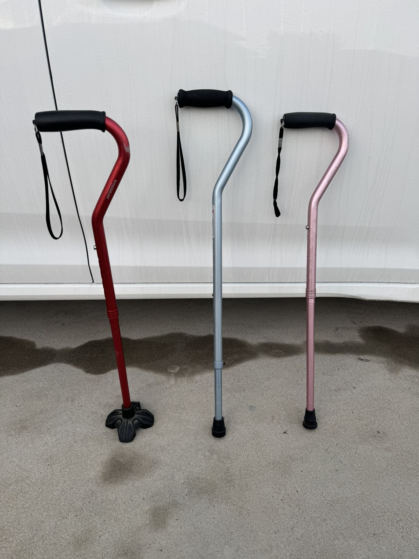 Adult Walking Cane