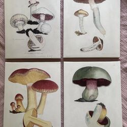 Canvas Mushroom Wall Hangings
