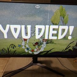 Gaming Monitor 1440p 165hz