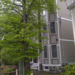 Location, Location, LOCATION!!! Gorgeous!! Jamaica Plain 2BDR, 2 BA, 2nd Floor DECK and Fenced in backyard—Jamaica Pond a short walk away!