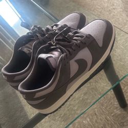 Dunks Size 11.5 Brand New 