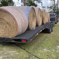 Fresh Roll’s Of Coastal Hay