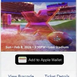 SUPER BOWL LX: NEW ENGLAND PATRIOTS VS SEATTLE SEAHAWKS