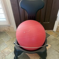 Giam Exercise Ball Seat