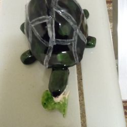 Made This Clay Sculpture Turtle 