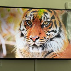 TLC Roku 4k TV 60”