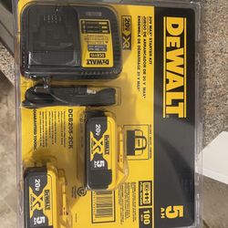20-Volt MAX Lithium-Ion Battery Adapter Kit with 20-Volt MAX XR Premium Li-Ion 5.0Ah Battery Pack (2-Pack)