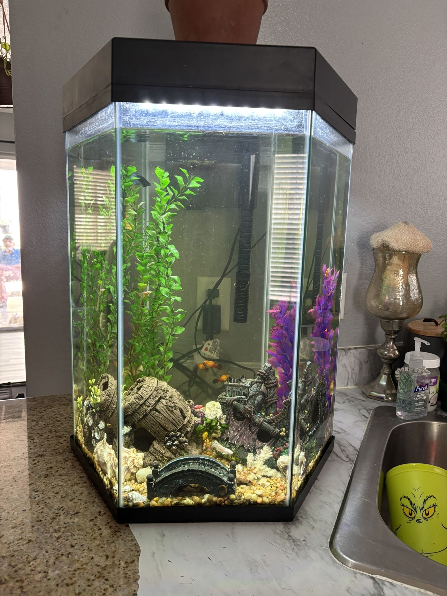 Fish Tank 