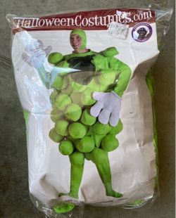 Fruit Of The Loom Style “Grapes” Halloween Costume ADULT SIZE (L / XL)