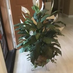 Artificial Plant