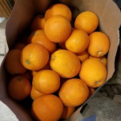 Organic Oranges