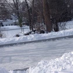Ice Rink In Your Backyard