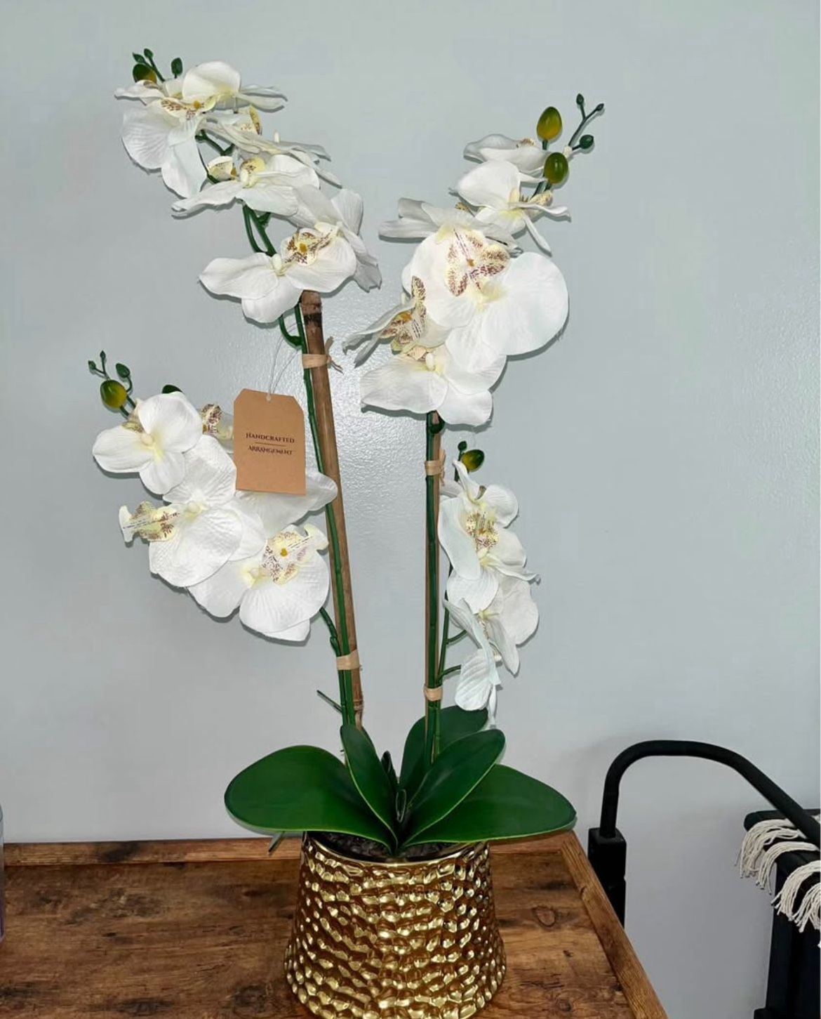 White with Gold Vases Orchid