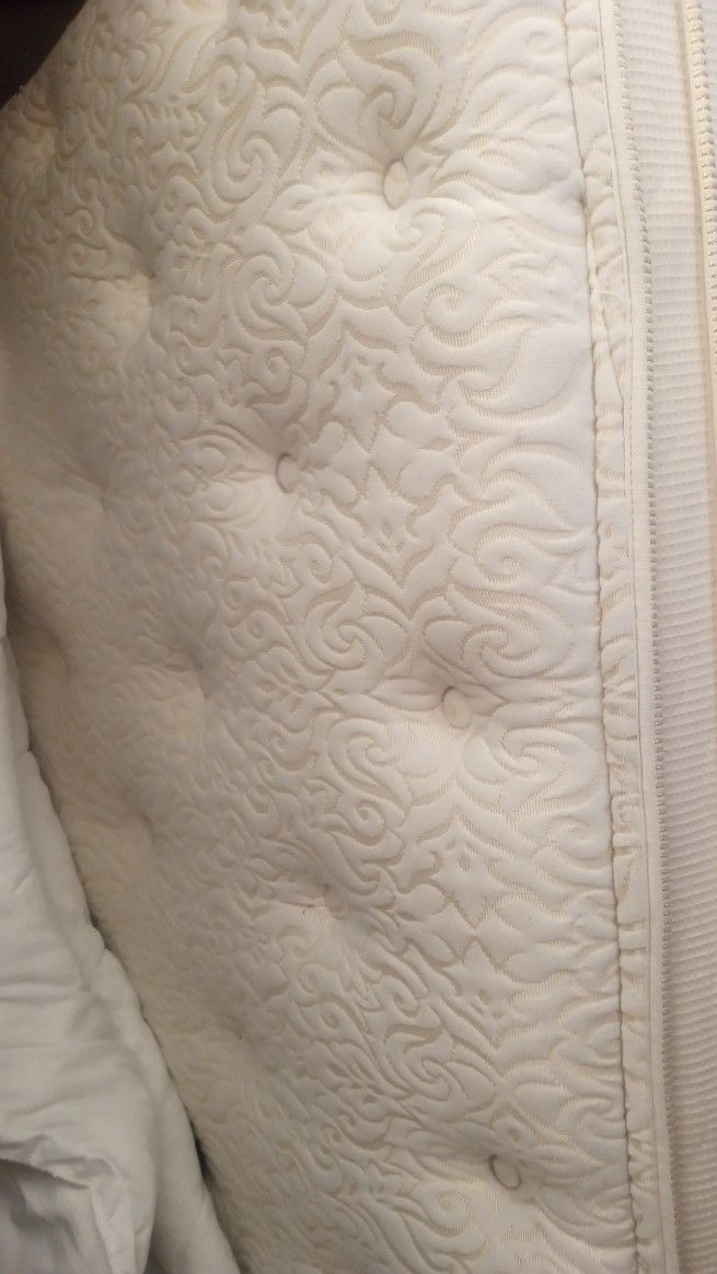 Twin Mattress And Box Spring