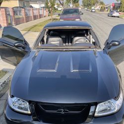 Auto Glass