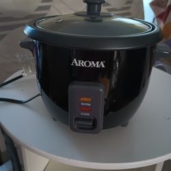 Rice cooker