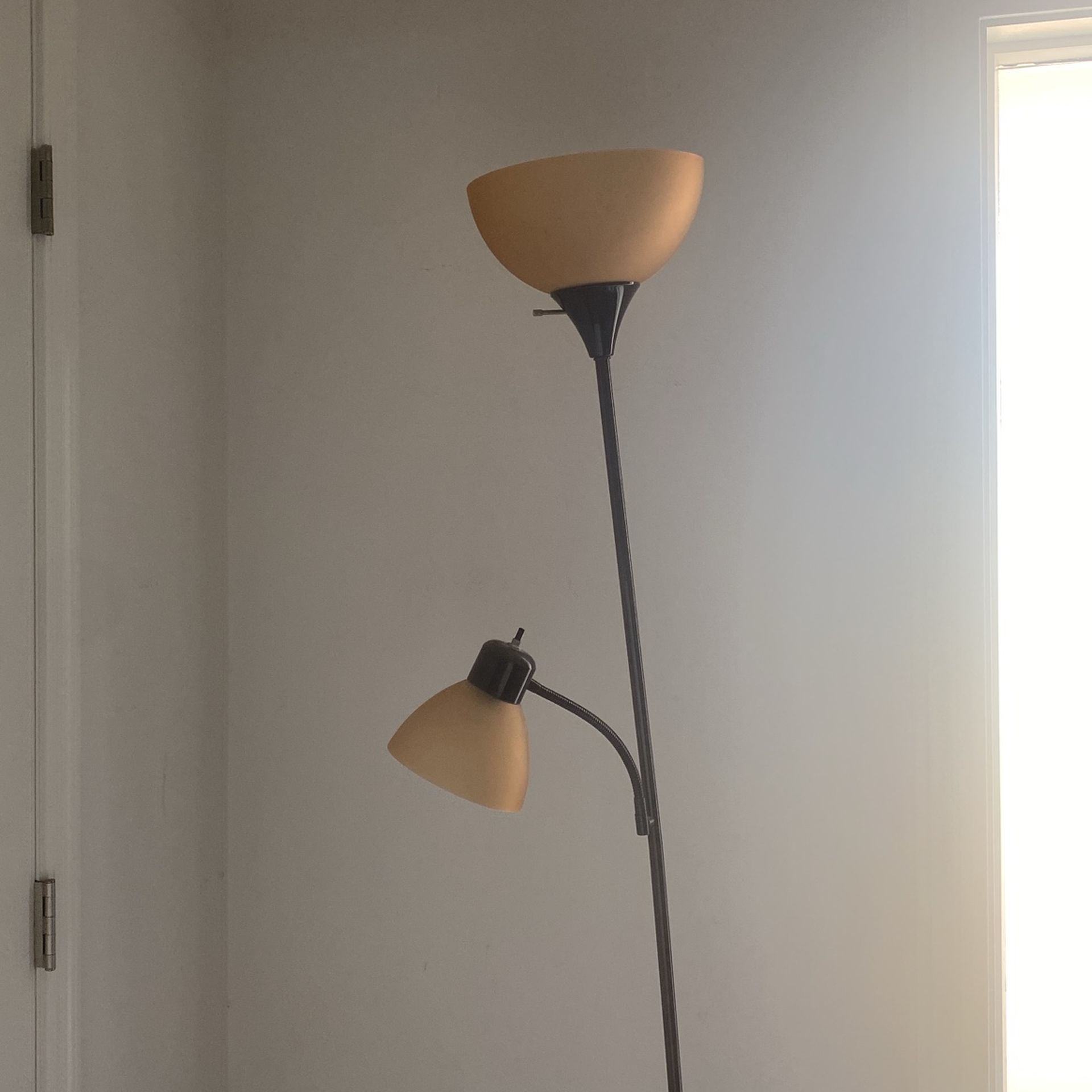 Dollar Lamp
