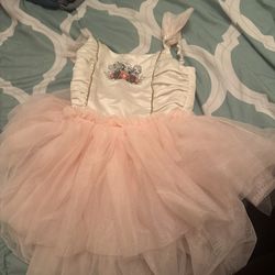 Disney Princess Dress