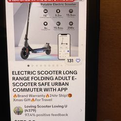 Electric Scooter 