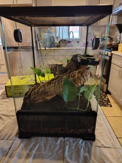 Bio Active Reptile Set up