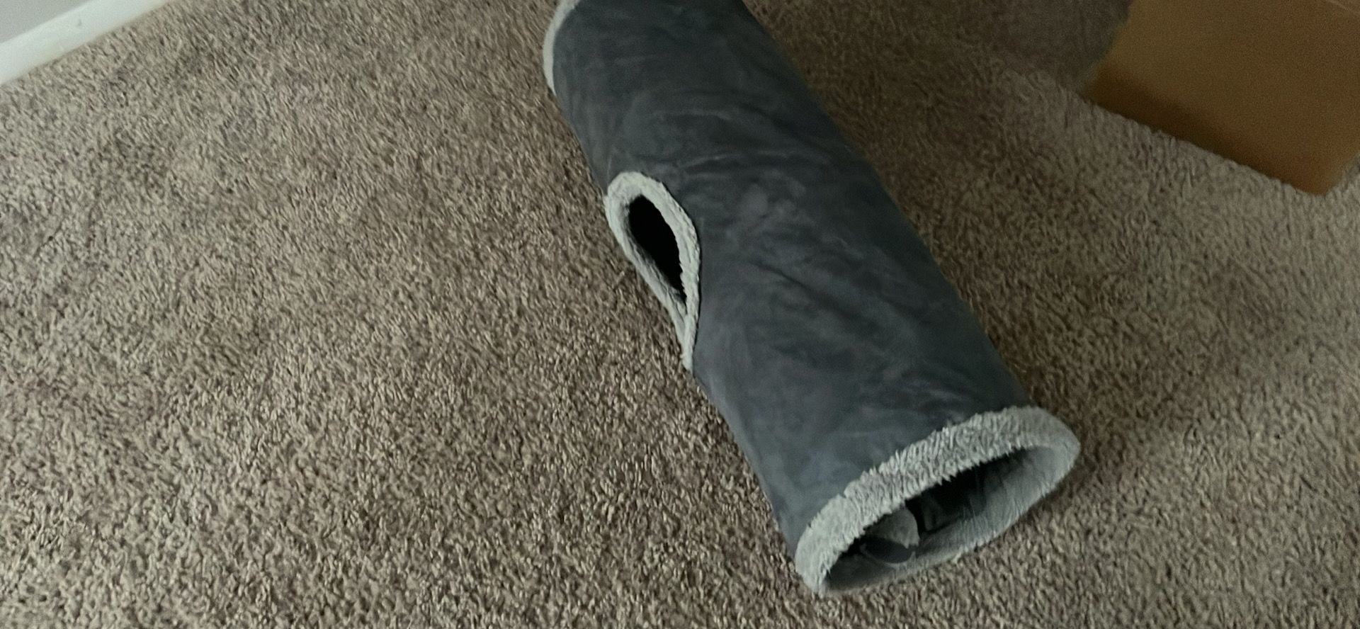 Cat tunnel