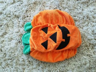 Pumpkin dog costume