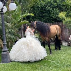 Quinceañera 