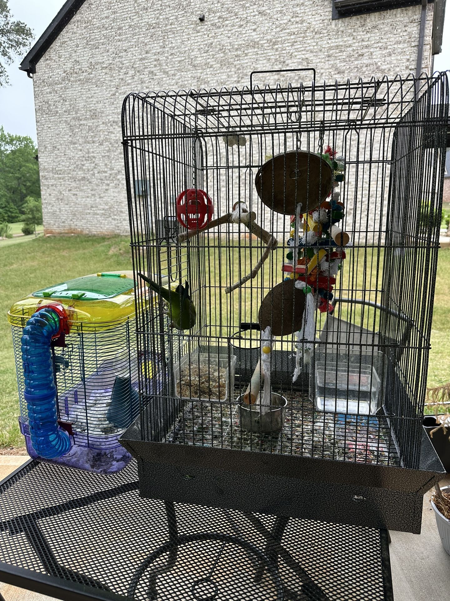 Pet Cages